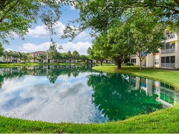 Pond view
